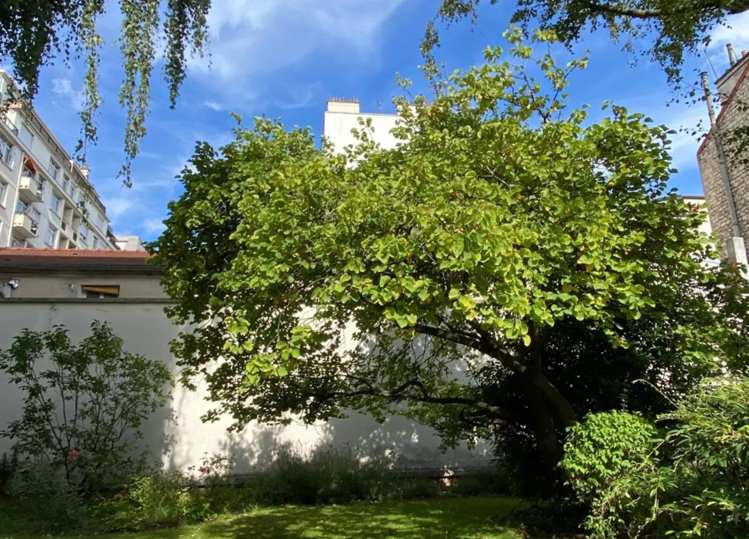 Studio Calme Et Lumineux, Parking Disponible, 100M De Nation باريس شقة